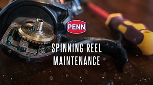 87 reactions | Depending on use, your reel can greatly benefit from...
