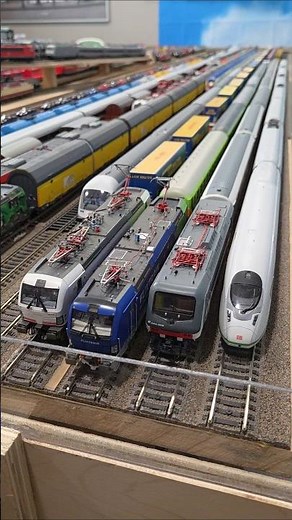 Modelleisenbahn H0 Trainspotting Roco Piko #moba #modeltrains #modelrailway #h0scale #shorts