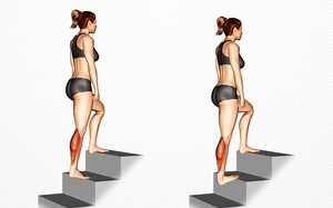 Ultimate Calves Stretch Guide: Target Gastrocnemius & Soleus – Fitness Volt