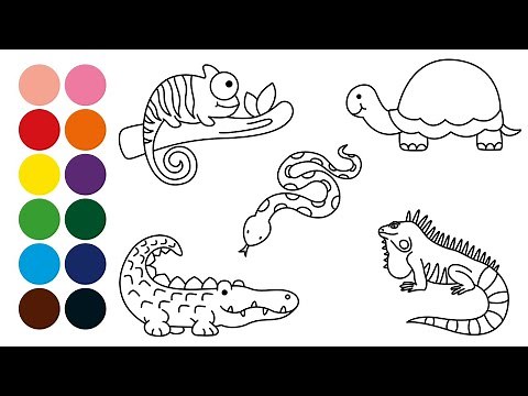 ANIMALES REPTILES dibujar y colorear para niños - Dibujar animales con Brahms