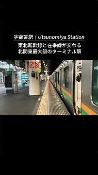 #宇都宮駅 #UtsunomiyaStation #JR東日本 #東北新幹線 #宇都宮線 #日光線 #鉄道 #Train #JapanRail #Railway #駅巡り #栃木