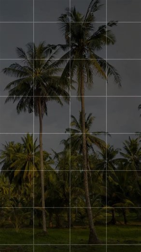 Coir Mats Export Big Business - Strategy revealed by IIM grad... Understand how others are capturing overseas market. From a small family business in Kerala to exporting to 85 countries — 107 years of craftsmanship, sustainability, and innovation. 🌿 Proud to carry forward a legacy that started five generations ago. Learn import export. call 9637770010 #MadeInIndia #GlobalBusiness #SustainableLiving #FamilyBusiness #EntrepreneurJourney #KeralaPride #ExportSuccess #LegacyOfExcellence #importexpor