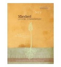 International Sunday School Lessons