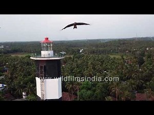 Lighthouse on beach in Kasaragod, Kerala - Beach and landscape seen in bird's eye aerial view