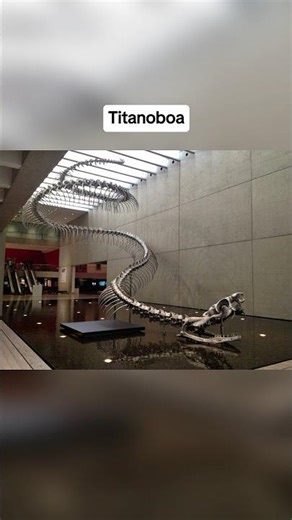 Animals You Are Glad Are Extinct