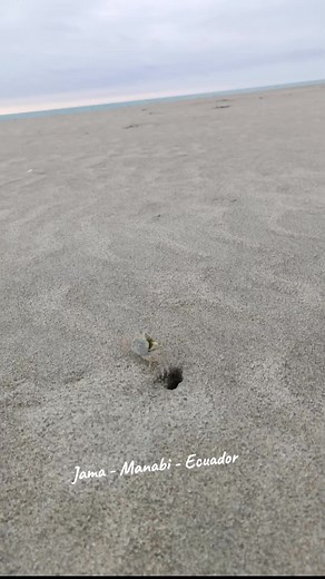 Descubre Playa Paraíso en Jama, Manabí, Ecuador