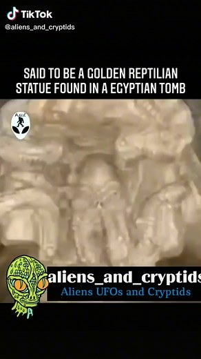 191K views · 3.1K reactions | Those ain't statues they're cocoons  #aliens_and_cryptids #reptilian #egyptian #tomb | Mystery Aliens UFO | Facebook