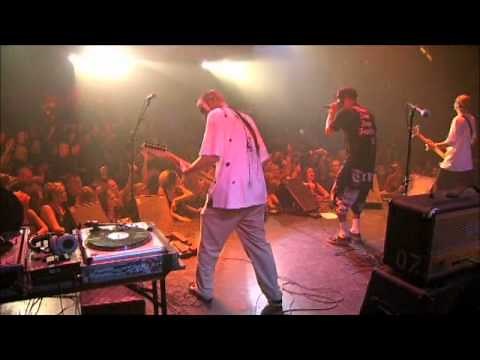(hed) P.E. Renegade Live