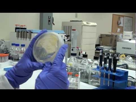 Biologist & Chemist - Career Spotlight