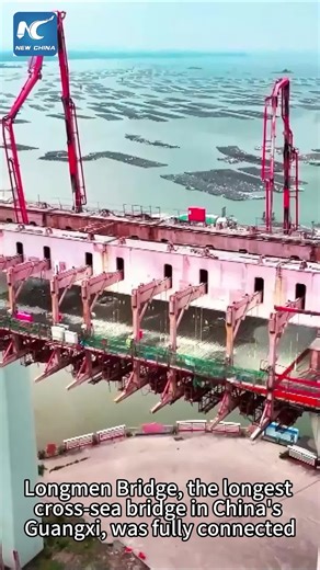 Longmen Bridge, the longest cross-sea bridge in China's Guangxi, has been fully connected on Friday. #LongmenBridge #AmazingChina #bridge #Guangxi | China Xinhua News