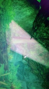 魔兽世界怀旧服部落怎么去菲拉斯