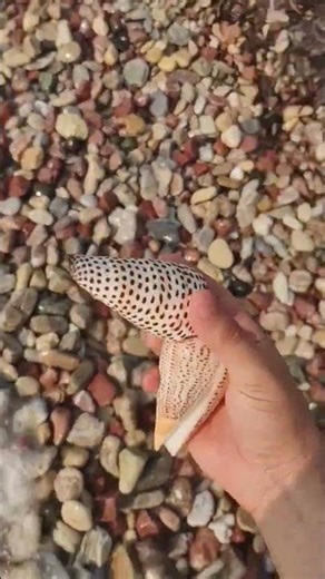 Marmaris kıyıları