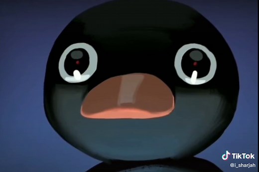 What is this penguin saying !? #penguin #penguinreaction #penguinmeme | noot noot meme