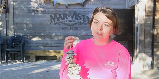 Gulf Shellfish Institute cleans our Suncoast waters with recycled oysters