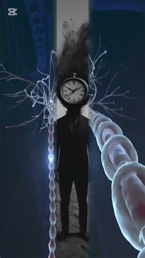 Why Only Female Mosquitoes Bite | Mosquito Bites Explained with Science #short #explore #feed