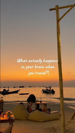 ✈️ What actually happens in your brain when you travel