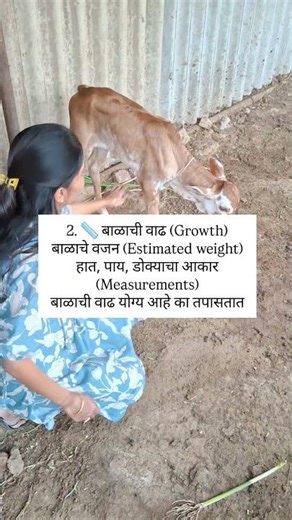 9 month sonography #pregnancy #baby #1million #vlog #marathi #support