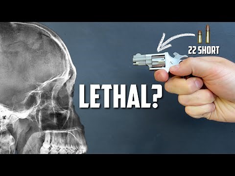 NAA Mini Revolver - How Lethal Is It??