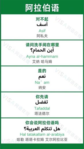 最实用阿拉伯语口语｜学会这几句走到哪里都够用 #学阿拉伯语 #阿拉伯语口语 #零基础阿语 #地道表达 #语言学习 #阿拉伯語學習 #實用口語 #零基礎學阿語 #中東語言 #外語學習