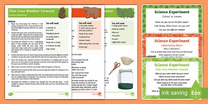 EYFS Autumn Themed Science Experiments Resource Pack