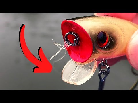 The POPPER You Should Start FISHING (Topwater Blowups)