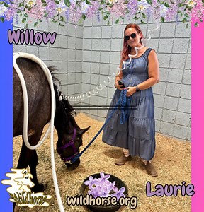 33K views · 961 reactions | Willow Update from overnight:...