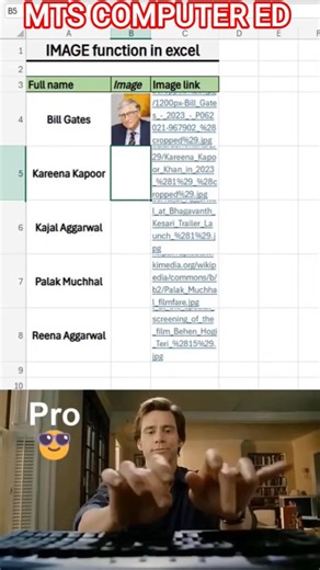 Excel IMAGE Function 😲 | Photo ko Cell ke Andar Kaise Laye | Excel New Formula #excel #shorts