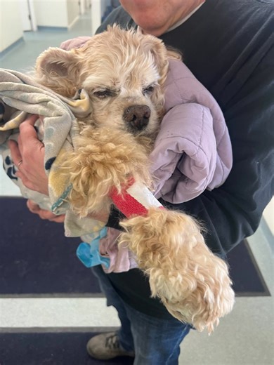 18K views · 686 reactions |  PSA from Larry Bird. “Advocate,...