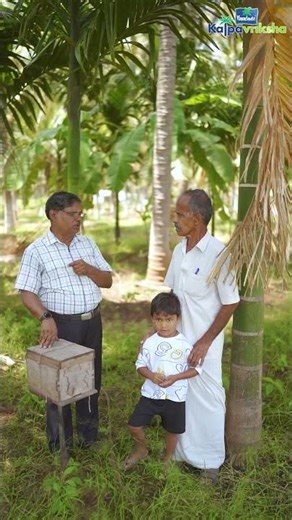 Honey bees play a vital role in arecanut cross-pollination