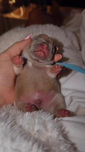 Katie Calandra on Reels | Facebook