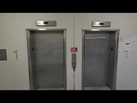 Interesting Side Panel! Traction Elevators at a Parking Garage (2 of 3) in Gainesville, FL