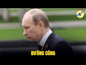 🎯 Đường cùng