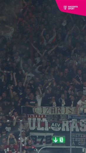 5.7K views · 108 reactions | Es geht wieder los!  Am 12.09. starten wir in Mannheim in die neue PENNY DEL-Saison, bevor wir euch am 14.09. zum ersten Heimspiel gegen die Löwen Frankfurt im Eisstadion am Pulverturm sehen! Alle Spiele der PENNY DEL gibt’s live bei @magentasport!   https://www.magentasport.de/aktion/del?wt_mc=daf_sospsoxx_2025-sport-sponsoring_Straubing-Tigers-DEL-Meta-25/26_619 | Straubing Tigers | Facebook