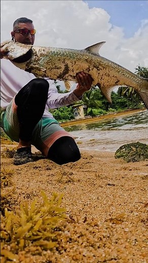 Incredible Tarpon Catch on Light Gear | Beach Fishing Adventure in Puerto Rico! #tarponfishing