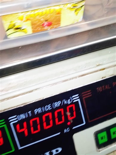 Kevin Titanium (@kevintitanium)’s videos with Kittens Exploring - ALOHI STYLE