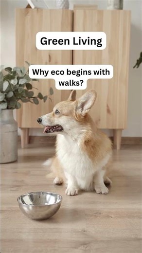 Eco-Friendly Pet Care Tips | Sustainable Dog Hacks-Eco Tips for Dog Owners | GoEcoPaw Hacks