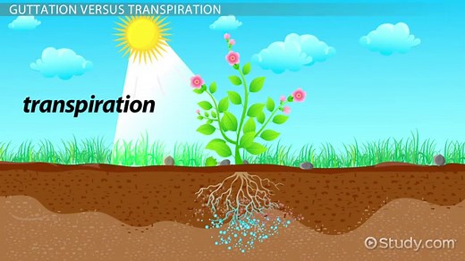 You must c C reate an account to continue watching