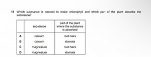 11 Which substance is needed to make chlorophyll and which part... | Filo