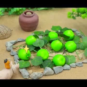 Building Your Dream Tiny Home: A Step-by-Step Guide