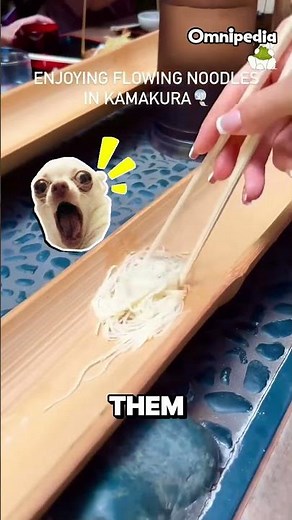 Japan’s Cold Noodles That Slide in Bamboo 🎋🍜 (Nagashi Somen)