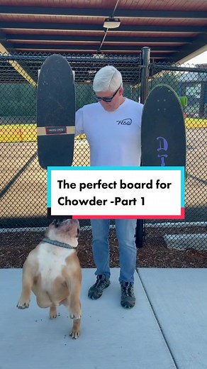 Finding the Perfect Skateboard for Chowder the Bulldog