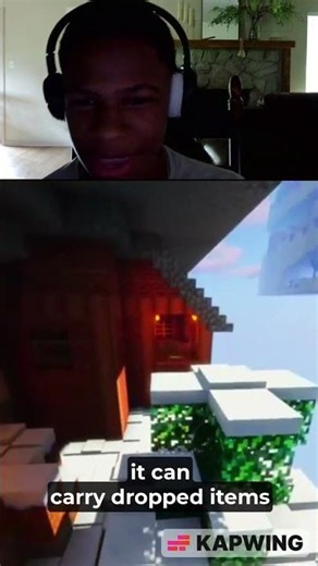 This Minecraft Feature Makes No Sense #minecraft #funny #memes #gaming