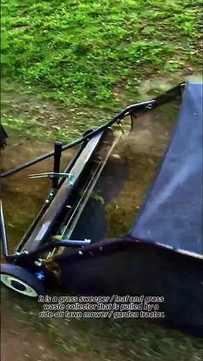 Lawn Sweeper Cleanup
