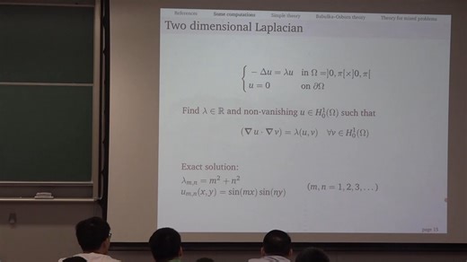 20240815Daniele Boffi特征值问题有限元方法