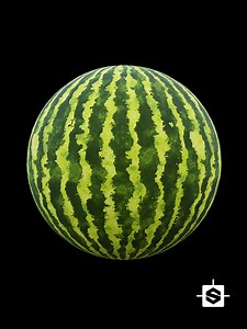 Watermelon 001 - 3D TEXTURES