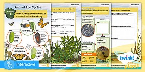 Interactive PDF: Science: Living Things and Their Habitats: Year 5 Home Learning Task: Comparing Life Cycles