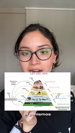 Niveles Tróficos: Importancia en el Ecosistema