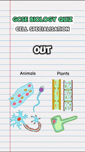GCSE Biology Revision: Master Your Cells