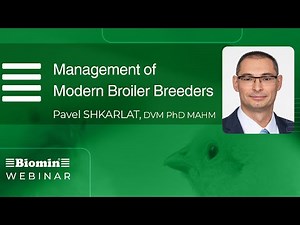 Management of Modern Broiler Breeders | BIOMIN Poultry Expert Talk