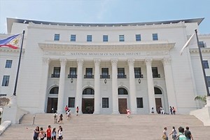 National Museum marks highest number of visitors since reopening